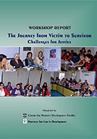 Workshop Report: The Journey From victim to Survivor, Challenges for Justice (2016)